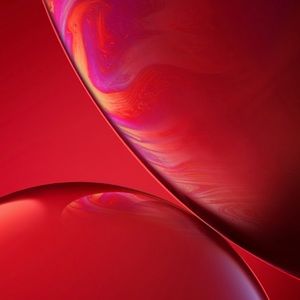 Meet your Posher, Gavin